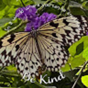 Meet your Posher, Marilyn